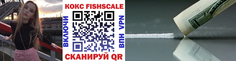 MEGA ссылки  Заречный  КОКАИН Fish Scale 