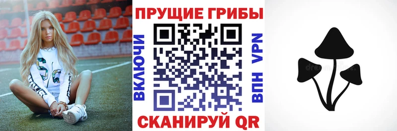 купить закладку  Заречный  МЕГА зеркало  Галлюциногенные грибы ЛСД 